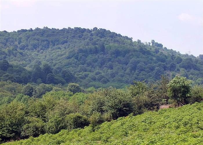 روستای شیاده-ivSqIIZxk1