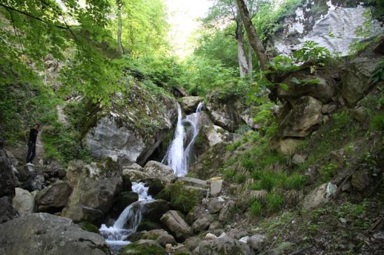 آبشارخزه ایی “پشمكی “-iw5c1B51VJ