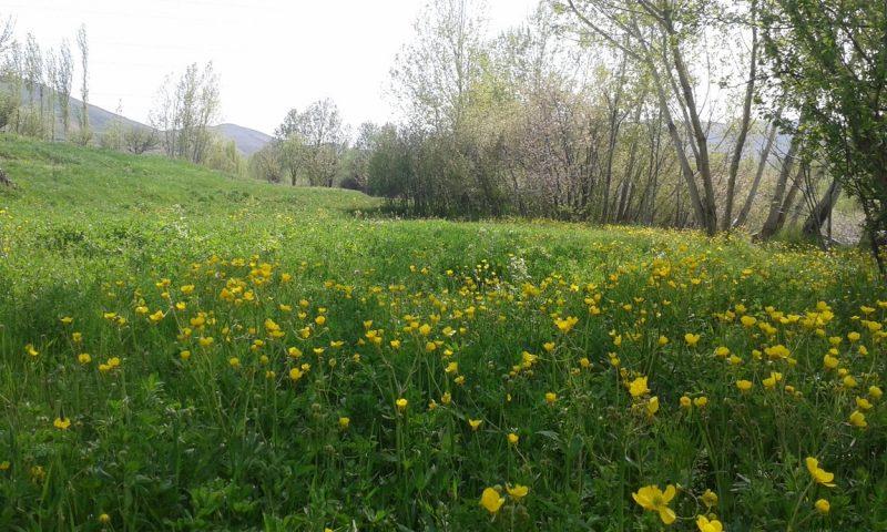 روستای گورانسراب-j2q5sunvJ5