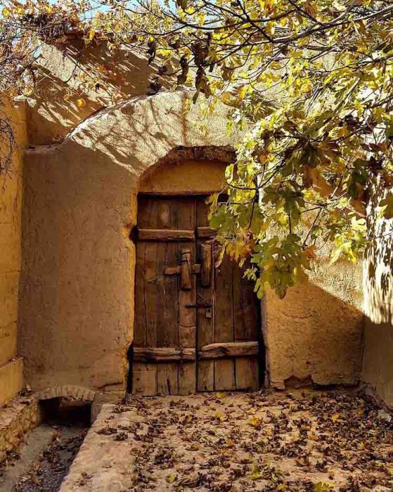 باغ پهلوان پور مهریز یزد-jG9xjbr7oE