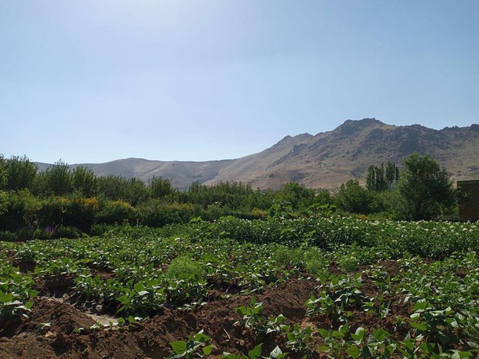 روستای وفرجین همدان-jGqfIzLuef