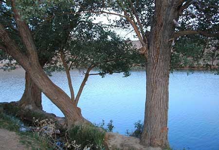 چشمه ی غربال بیز-jWyeumWLEu