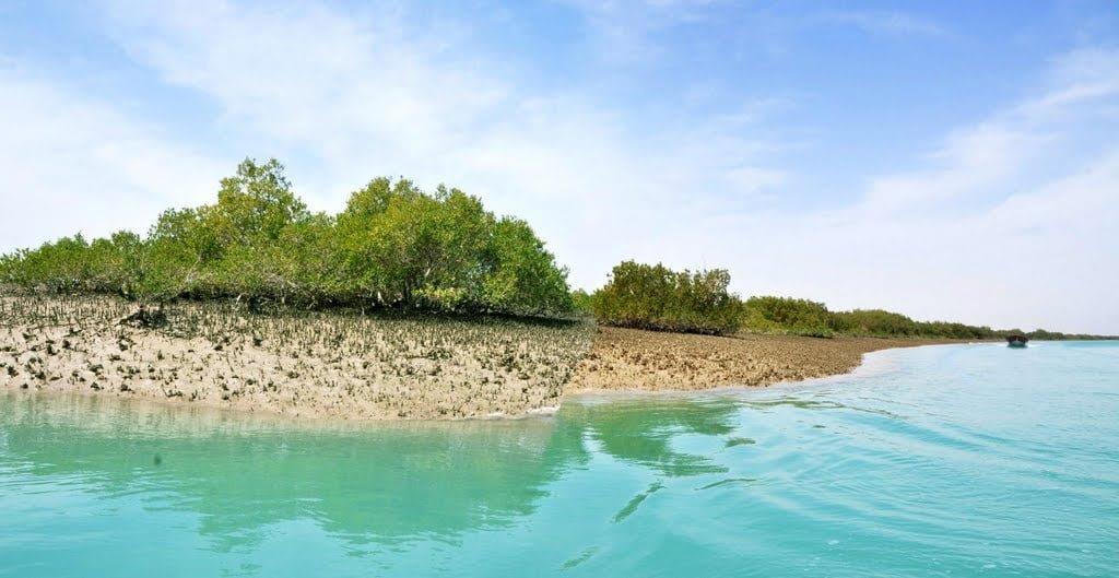 جنگل حرا قشم-jX1BEDK52A