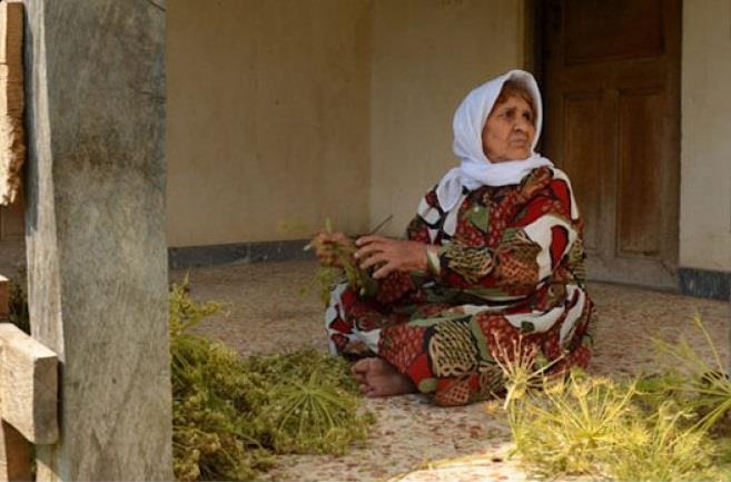 روستای سیكا-jZSjXwy0wo