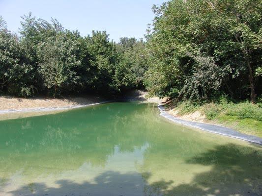 باغ گیاه شناسی ملی ایران-jeZ0092UJo