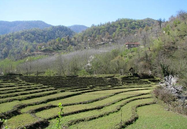 روستای لمسوكلا-jho4PFF9eX