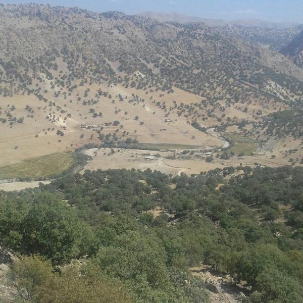 روستای اوله-jiPZOxY93X