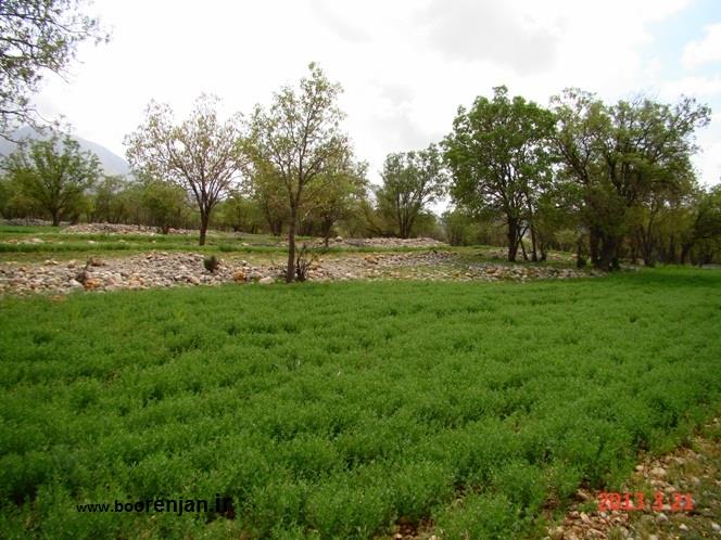 روستای بورنجان-jl0RJx3nP1