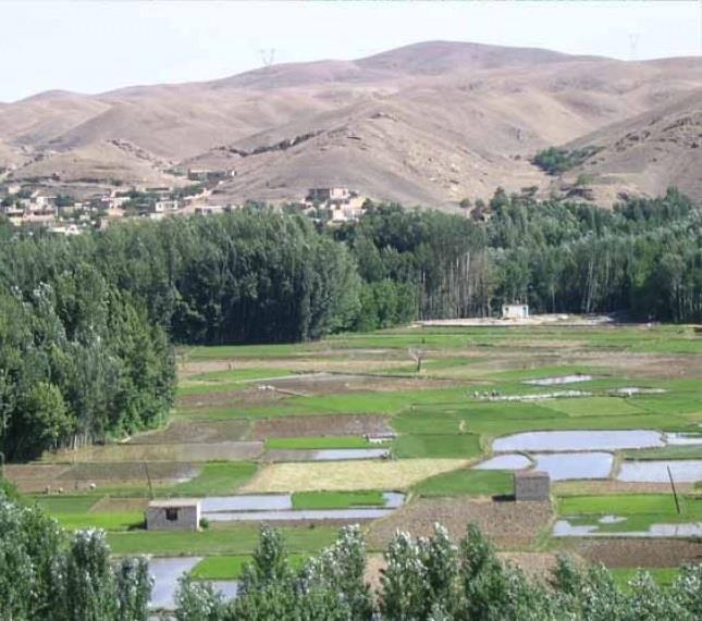 روستای موركان-jlcVVzjKMP
