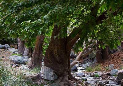 سفر به هند كوچك ایران-jmfYtzQ87c