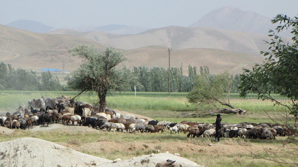 روستای سیرك شهركرد-jpbyMxo9g0
