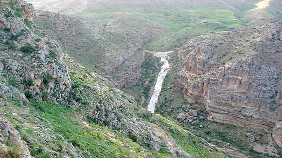 منطقه حفاظت شده بیجار-jreogHlPTY