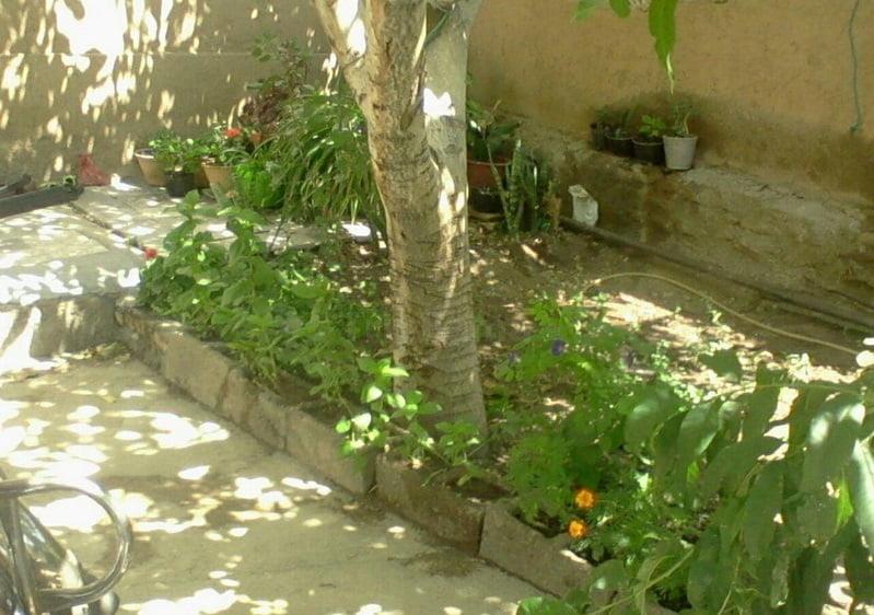 اقامتگاه بوم گردی كومه سبز شاهرود-jtKnWM6XeQ
