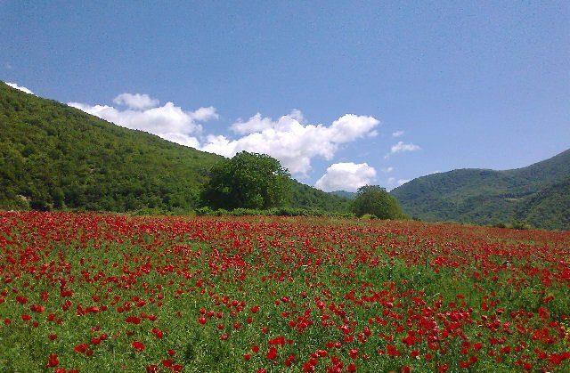 روستاهای گالیكش ( معرفی ۵۲ روستای گالیكش )-kGTUyhaF8L