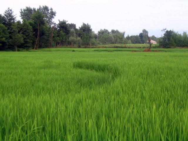 روستای دهبنه-kSIYDjZTd8