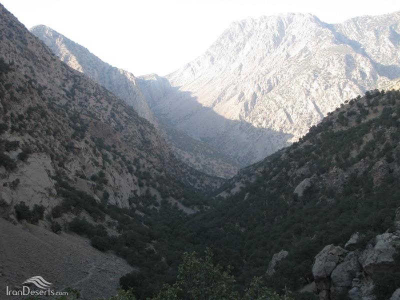 تنگ تهی-kawuhs7JP3