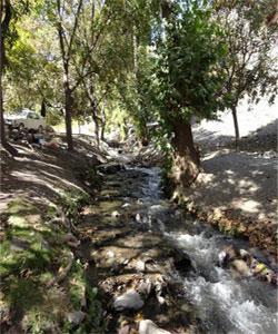 سفر به سرزمین گل و صخره-kbSMfsEBR3