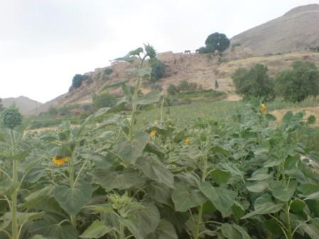روستای گلویج-kg1ebfBj4h