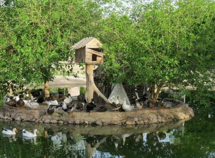 بوستان خانواده دزفول-kgfH1aegQP
