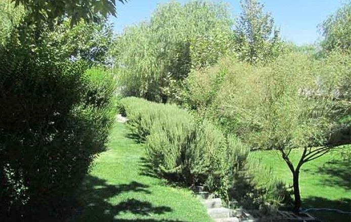 بوستان نقاشباشی-kjEJrGlUP9