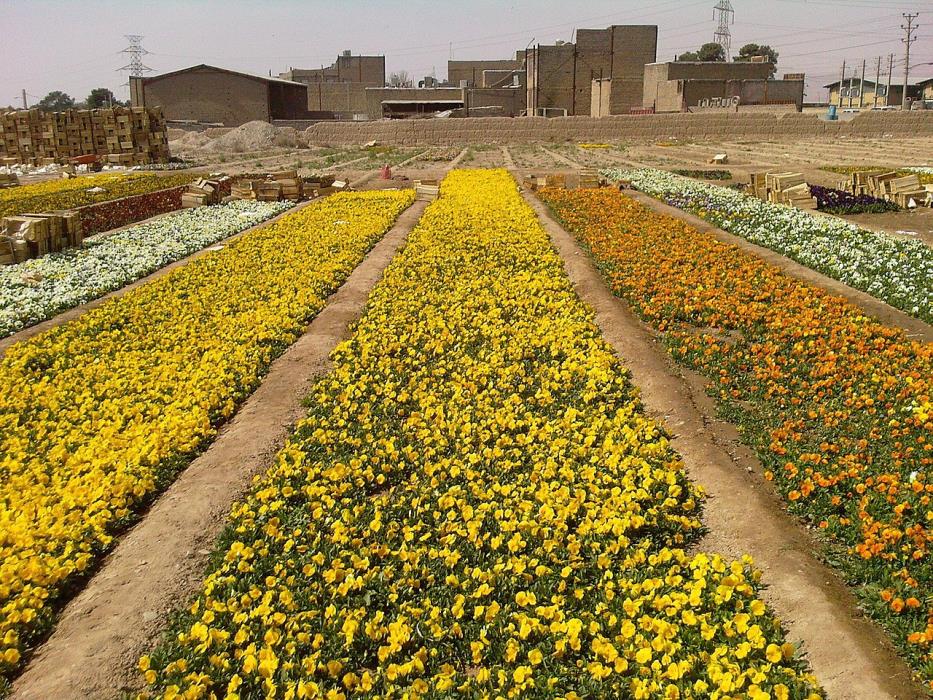روستاهای پاكدشت ( معرفی ۴۵ روستای پاكدشت ) استان تهران, پاكدشت-klQRYTyhJE