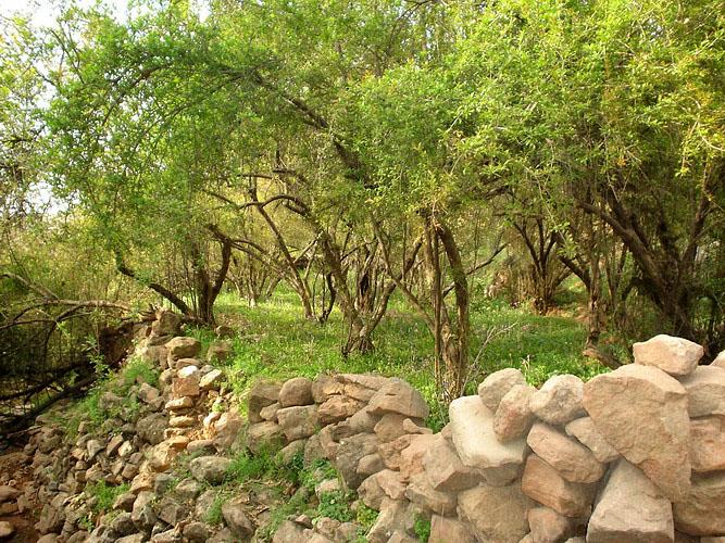 روستای نورآباد دزفول-knlbg6tQCT