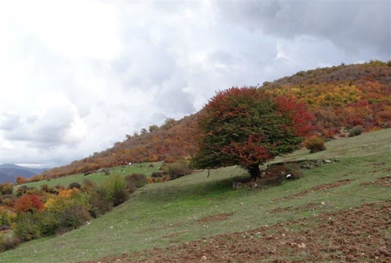 پارك ملی پابند-ksQki0KcbJ