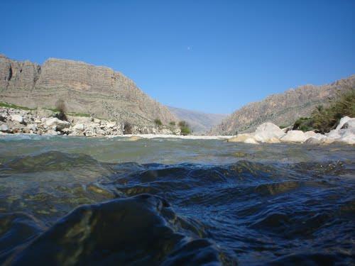 باب انار-kvSssPeBeQ