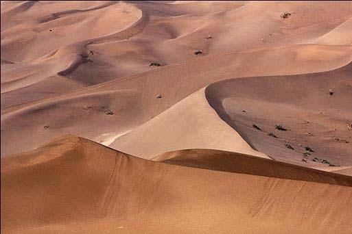كویر در انجیر-lKMcpnF544