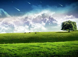 20 نكته برای رفتن به طبیعت-lLDxr78qt9