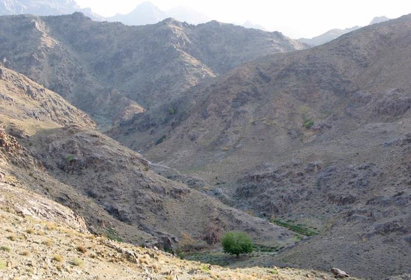 منطقه شكار ممنوع سید مرتضی-lRxDK53p4d