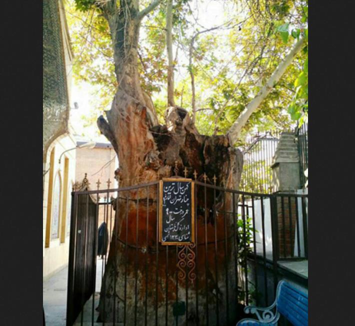 محله امامزاده یحیی تهران-lkvLsl9Rjn