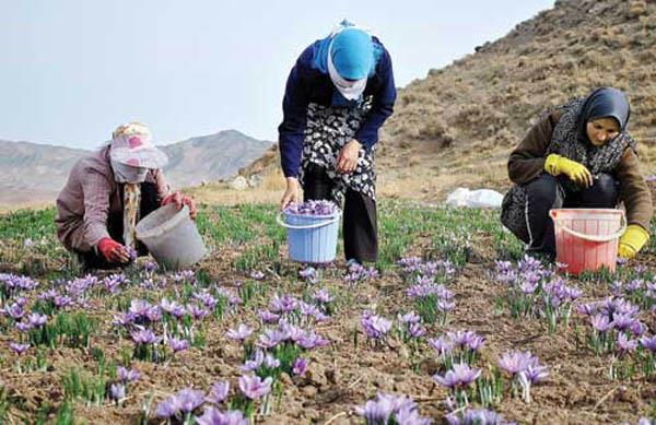 روستای وامنان-lmkusetUf2