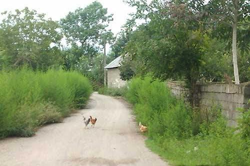 روستاهای بندرانزلی ( معرفی ۲۸ روستای بندرانزلی )-ln4cmgd2XG