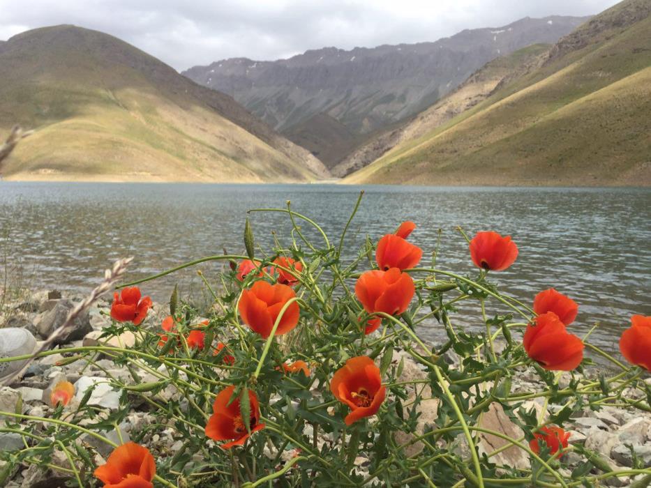 روستای دهنار دماوند-lpeloWVaig