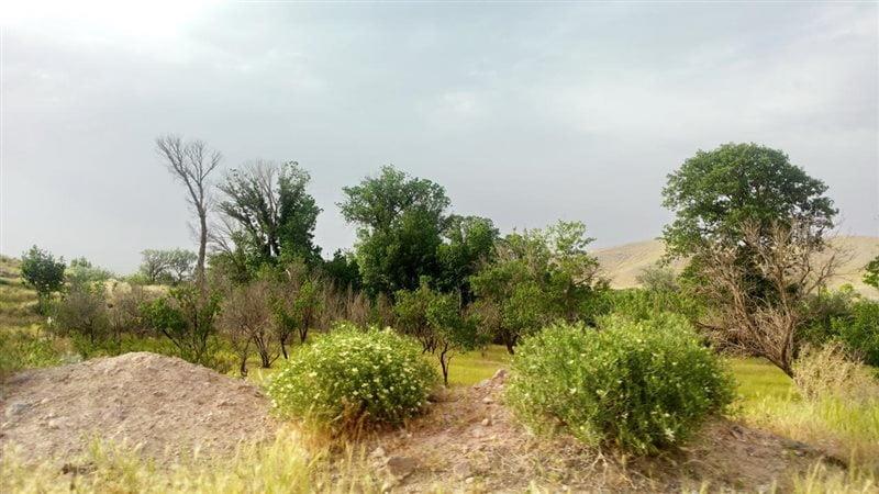 روستای اسفهلان-lt5bP8P0xr