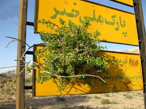پارك ملی خبر-lvHgDDhyxx
