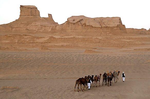 كویرهای گیاهدار و كویر های فاقد گیاه-lwFGVFxEeg