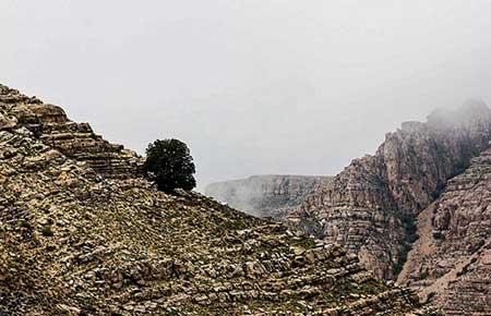 روستای اسفیدان خراسان-lyxFCZjzU7