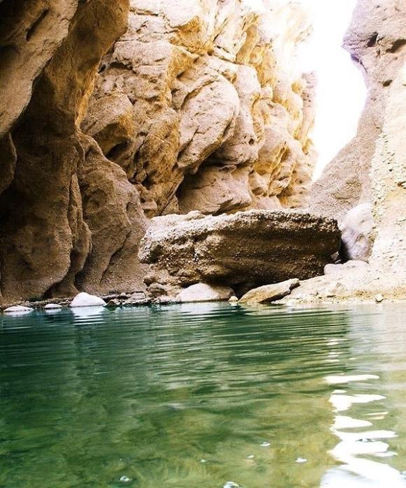 درباره كال جنی-m1OsXeZd4J