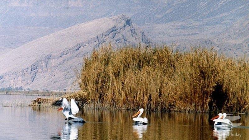 دریاچه قوبی-m1wXTdpcn8