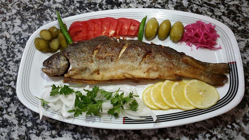 رستوران شاهگلی تبریز-m4xJtFtJLe