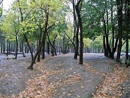 بزرگ ترین پاركهای جنگلی ایران-m56u7s8ZN6