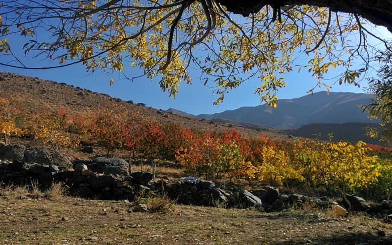 اقامتگاه آقا جعفر در روستای افجه-m8lQckofIg