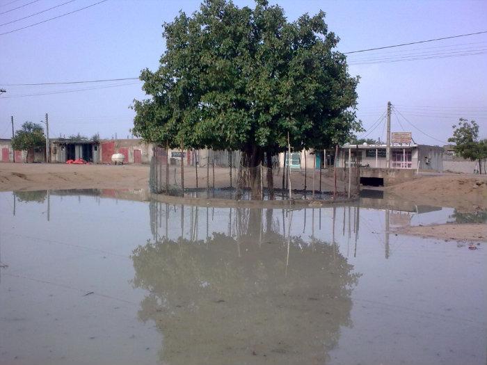 روستای توریان-mD6CtsA0Or