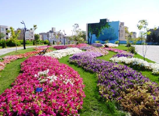 باغ گل‌های مشهد-mFc60zjLab