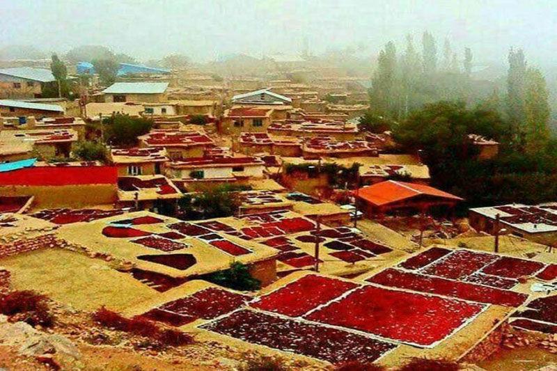 جای خالی گردشگری تخصصی در قزوین-mFglgXZput
