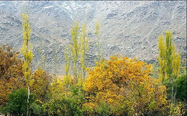 روستای منشاد-mIXvtu6wEr