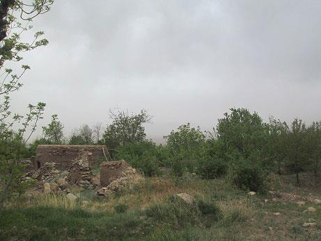 روستای ویدوجا-mXAavmqsOZ