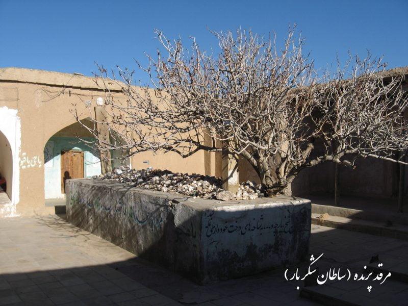 مرقد پرنده-mdTIfjNErL